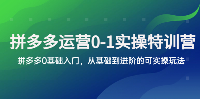 【副业项目5801期】拼多多-运营0-1实操训练营，拼多多0基础入门，从基础到进阶的可实操玩法缩略图