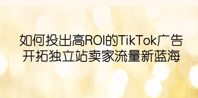 【副业项目6124期】如何投出高ROI·TikTok广告，开拓独立站卖家流量新蓝海缩略图