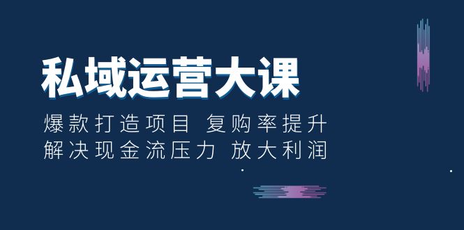 【副业项目6574期】私域运营大课：爆款打造项目 复购率提升 解决现金流压力 放大利润缩略图