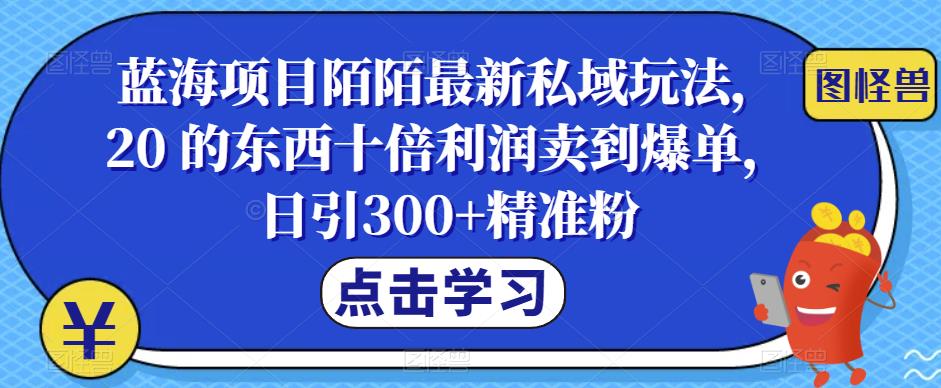 【副业项目6699期】蓝海项目陌陌最新私域玩法，20 的东西十倍利润卖到爆单，日引300+精准粉【揭秘】缩略图