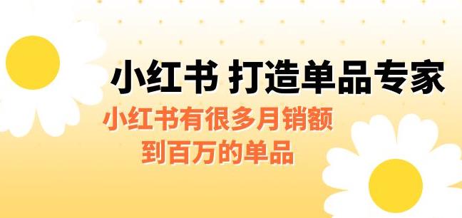 【副业项目6703期】某公众号付费文章《小红书打造单品专家》小红书有很多月销额到百万的单品缩略图