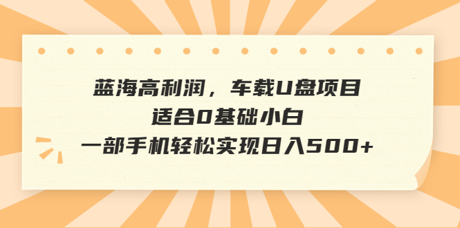 【副业项目6800期】蓝海高利润，车载U盘项目，适合0基础小白，一部手机轻松实现日入500+缩略图