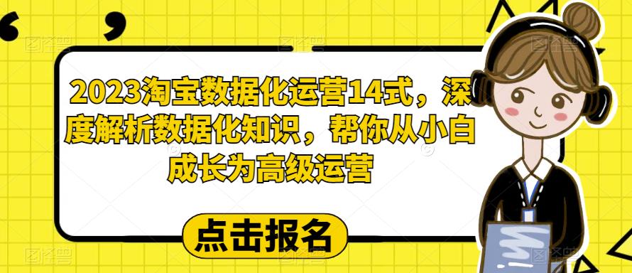 【副业项目6599期】2023淘宝数据化-运营 14式，深度解析数据化知识，帮你从小白成长为高级运营缩略图