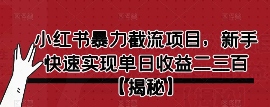 【副业项目6889期】小红书暴力截流项目，新手快速实现单日收益二三百【仅揭秘】缩略图