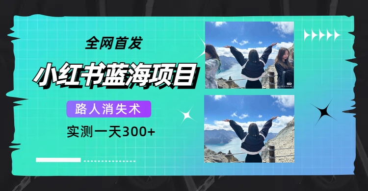 【副业项目7750期】全网首发，小红书蓝海项目，路人消失术，实测一天300+（教程+工具）缩略图