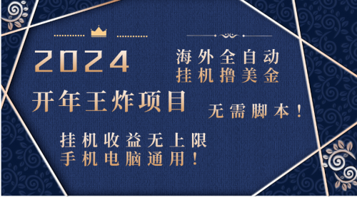 【副业项目8620期】2024海外撸美金项目！手机电脑均可缩略图